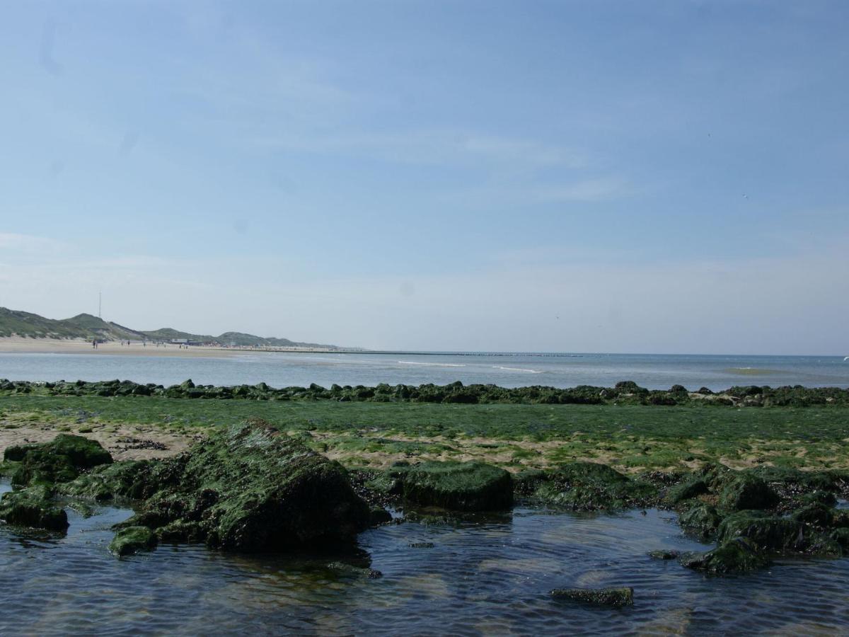 Romantic Holiday Home In Schoorl Near The Sea מראה חיצוני תמונה